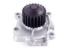 LIGHT DUTY WATER PUMPS - image 4
