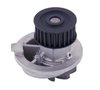 LIGHT DUTY WATER PUMPS - image 2