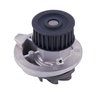 LIGHT DUTY WATER PUMPS - image 3