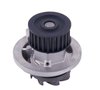 LIGHT DUTY WATER PUMPS - image 4