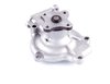 LIGHT DUTY WATER PUMPS - image 2