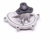 LIGHT DUTY WATER PUMPS - image 3