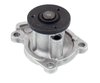 LIGHT DUTY WATER PUMPS - image 2