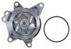 LIGHT DUTY WATER PUMPS - image 2
