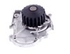 LIGHT DUTY WATER PUMPS - image 2