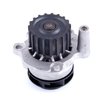 LIGHT DUTY WATER PUMPS - image 2