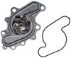 LIGHT DUTY WATER PUMPS - image 2