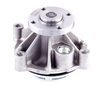 LIGHT DUTY WATER PUMPS - image 3