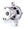 LIGHT DUTY WATER PUMPS - image 2