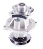 LIGHT DUTY WATER PUMPS - image 2