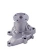 LIGHT DUTY WATER PUMPS - image 2