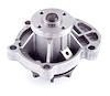 LIGHT DUTY WATER PUMPS - image 1
