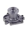LIGHT DUTY WATER PUMPS - image 2