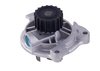 LIGHT DUTY WATER PUMPS - image 2