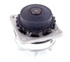 LIGHT DUTY WATER PUMPS - image 2