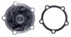 LIGHT DUTY WATER PUMPS - image 4