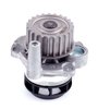 LIGHT DUTY WATER PUMPS - image 3