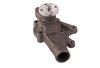 LIGHT DUTY WATER PUMPS - image 2