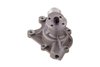 LIGHT DUTY WATER PUMPS - image 2