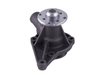 LIGHT DUTY WATER PUMPS - image 3