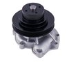 LIGHT DUTY WATER PUMPS - image 2