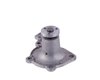 LIGHT DUTY WATER PUMPS - image 3