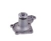 LIGHT DUTY WATER PUMPS - image 4