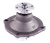 LIGHT DUTY WATER PUMPS - image 2
