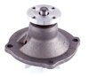 LIGHT DUTY WATER PUMPS - image 3