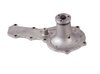 LIGHT DUTY WATER PUMPS - image 2
