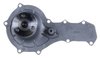 LIGHT DUTY WATER PUMPS - image 4