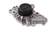 LIGHT DUTY WATER PUMPS - image 4