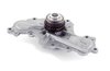 LIGHT DUTY WATER PUMPS - image 2