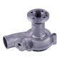 LIGHT DUTY WATER PUMPS - image 3
