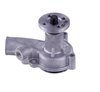 LIGHT DUTY WATER PUMPS - image 4