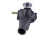 LIGHT DUTY WATER PUMPS - image 3