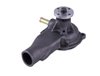 LIGHT DUTY WATER PUMPS - image 4