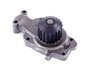 LIGHT DUTY WATER PUMPS - image 2