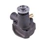 LIGHT DUTY WATER PUMPS - image 3