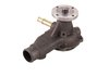 LIGHT DUTY WATER PUMPS - image 2