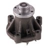 LIGHT DUTY WATER PUMPS - image 3