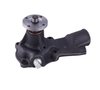 LIGHT DUTY WATER PUMPS - image 2