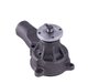 LIGHT DUTY WATER PUMPS - image 2