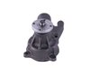 LIGHT DUTY WATER PUMPS - image 3