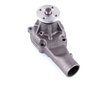 LIGHT DUTY WATER PUMPS - image 4
