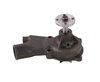 LIGHT DUTY WATER PUMPS - image 2