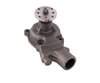 LIGHT DUTY WATER PUMPS - image 2