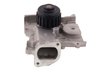LIGHT DUTY WATER PUMPS - image 2