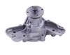 LIGHT DUTY WATER PUMPS - image 2