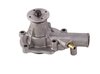 LIGHT DUTY WATER PUMPS - image 3